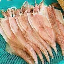 f88bfe1b-vinh-lan-ha-cat-ba-hai-phong-2818261-9154954-8378400-9302028-3634584-2935395