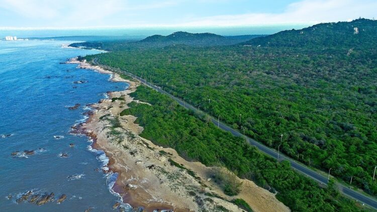 a08d1543-bien-suoi-o-binh-chau-ba-ria-vung-tau-1580170-750x422-2314789-1717903-8529240