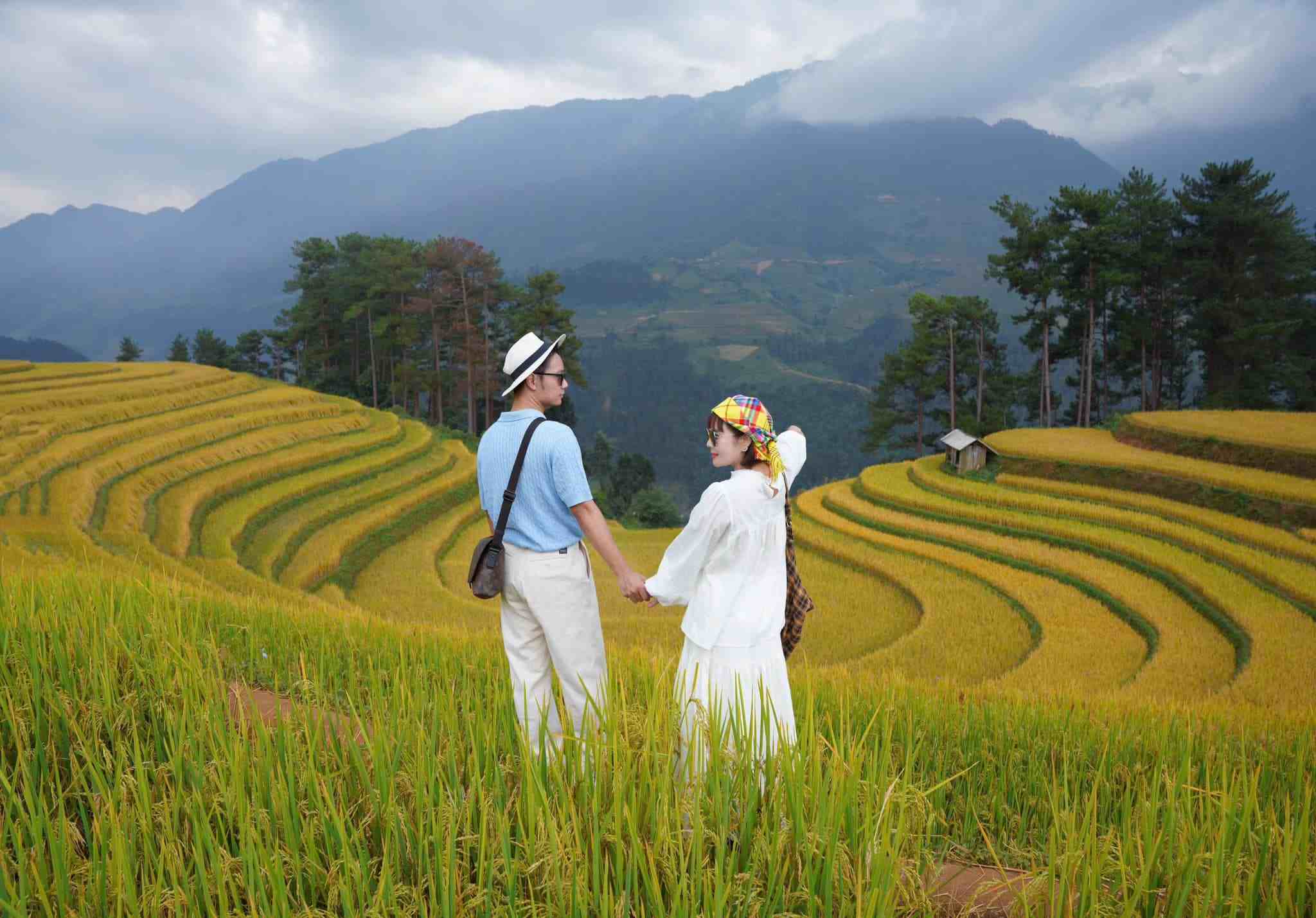 Mùa lúa chín họa bức tranh vàng rực rỡ ở Mù Cang Chải