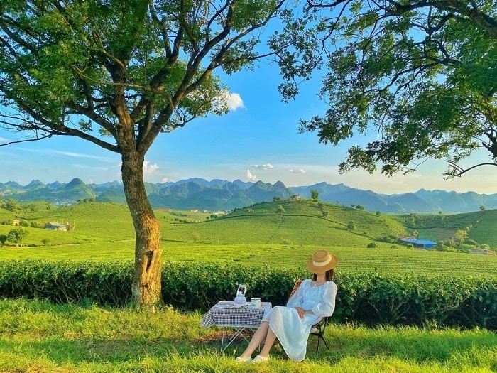 địa điểm du lịch mộc châu