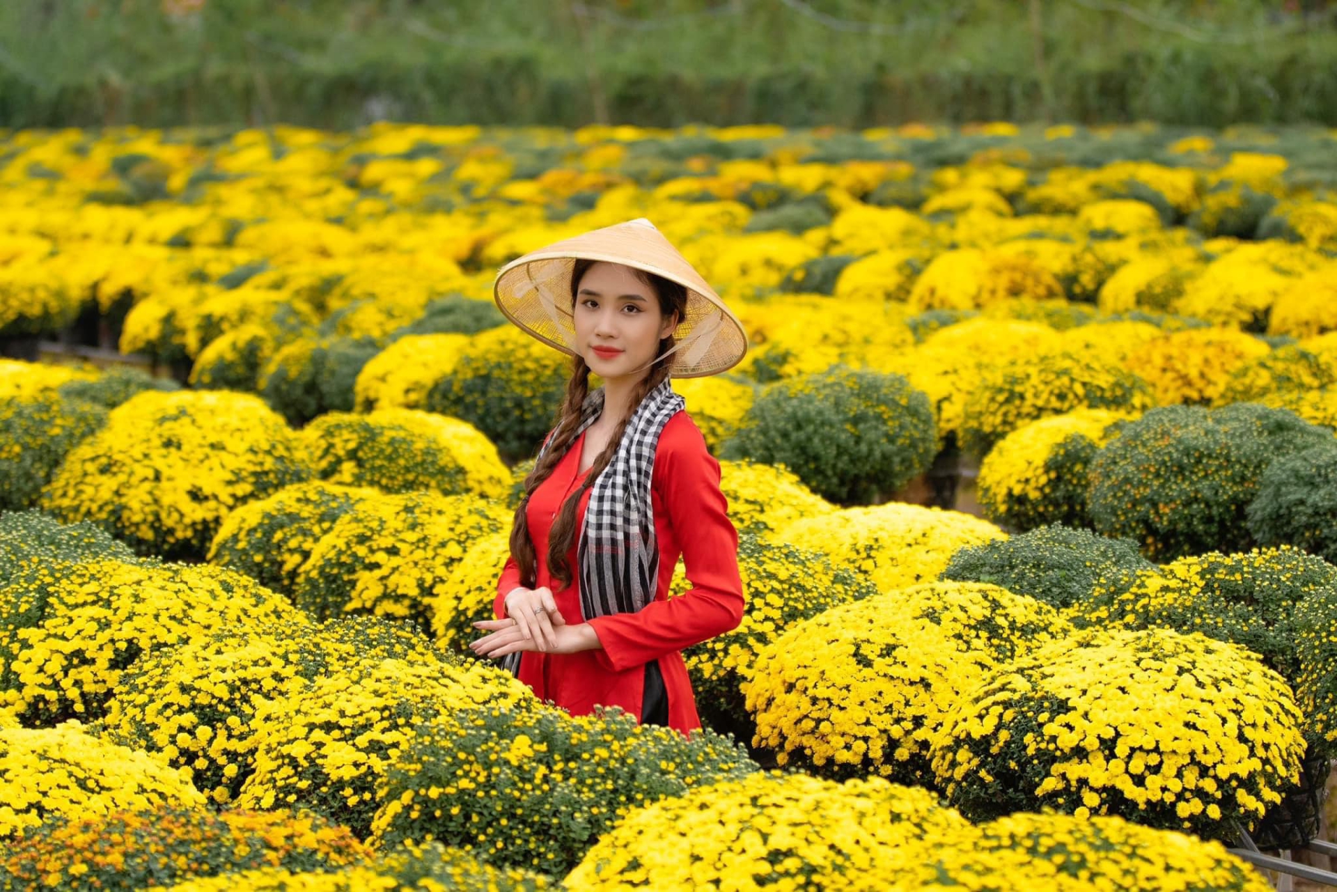 TOUR LÀNG HOA SA ĐÉC - VƯỜN QUÝT HỒNG LAI VUNG - ĐỒNG THÁP 1 NGÀY