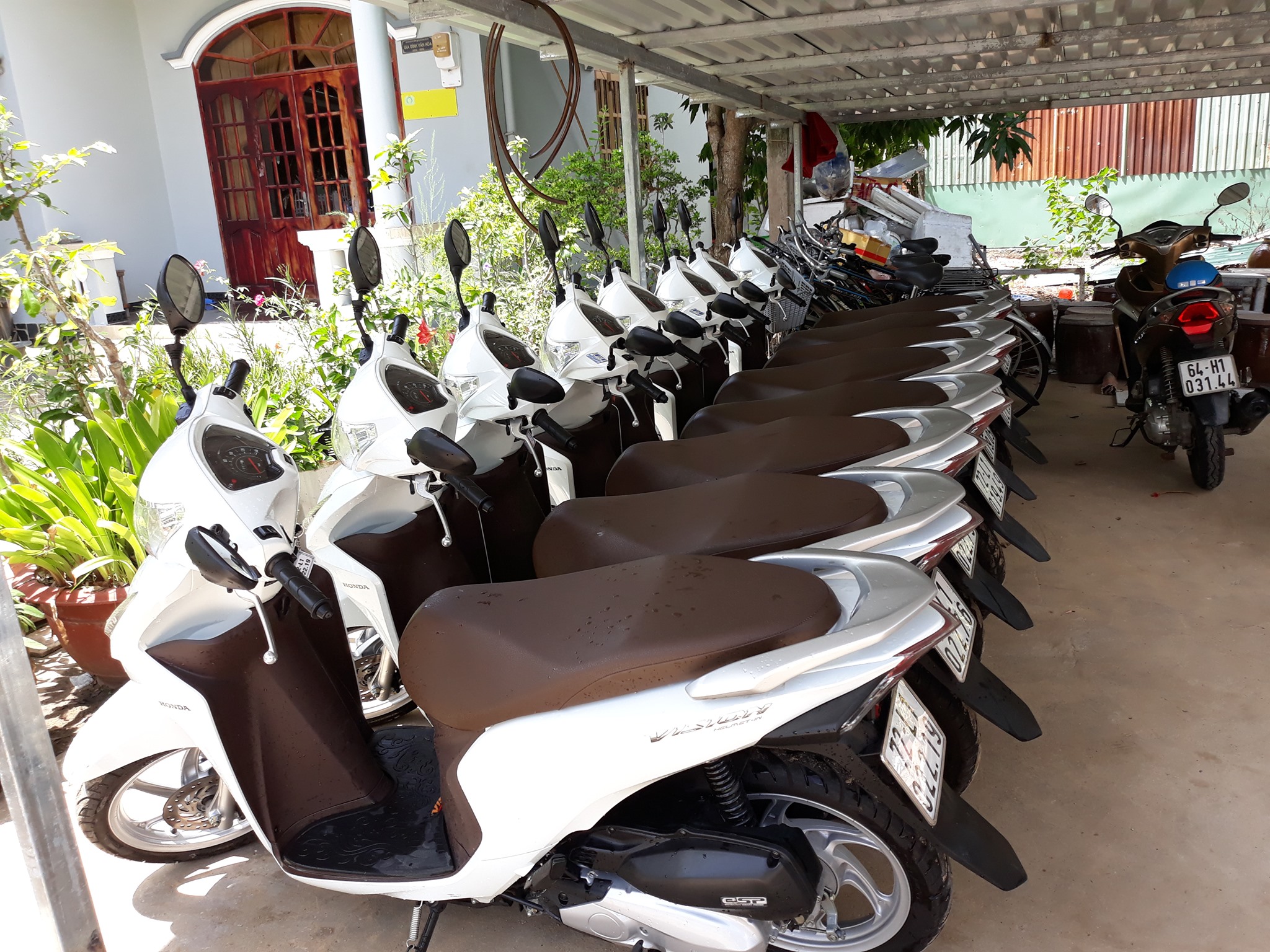 3efdf462-thue-xe-may-vung-tau-a-viet-8203445