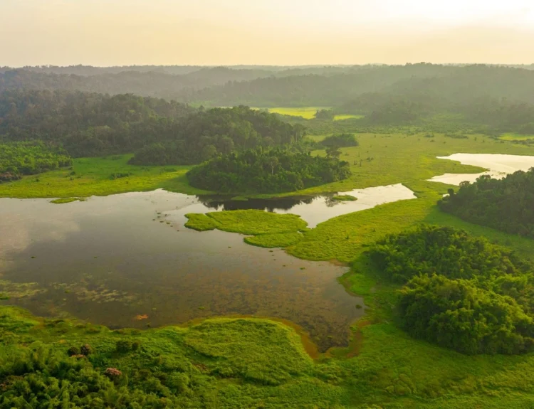 địa điểm du lịch cát tiên