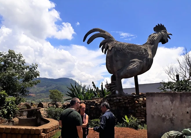 làng klong - làng gà đức trọng