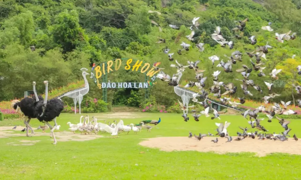 khu du lịch đảo hoa lan