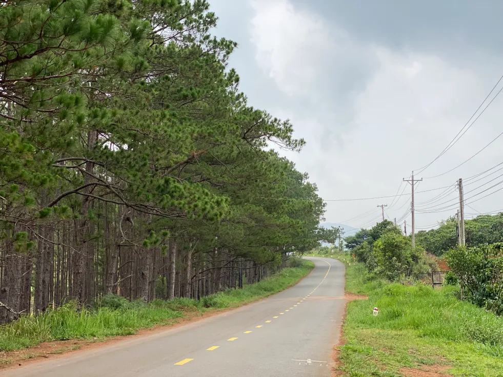 địa điểm du lịch đạ tẻh đèo con ó