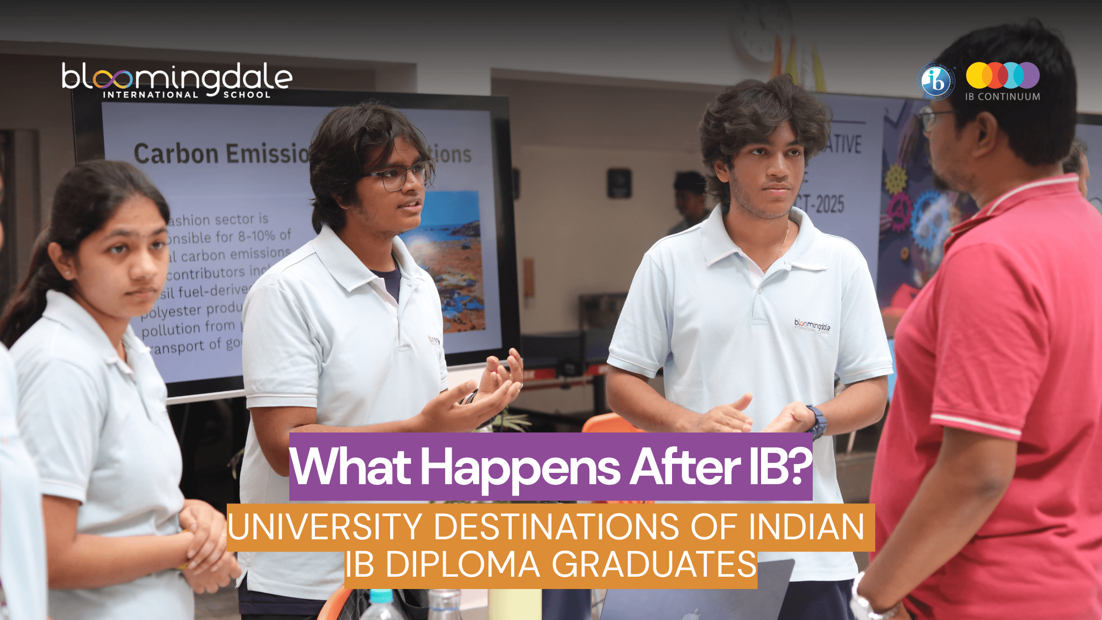 What Happens After IB