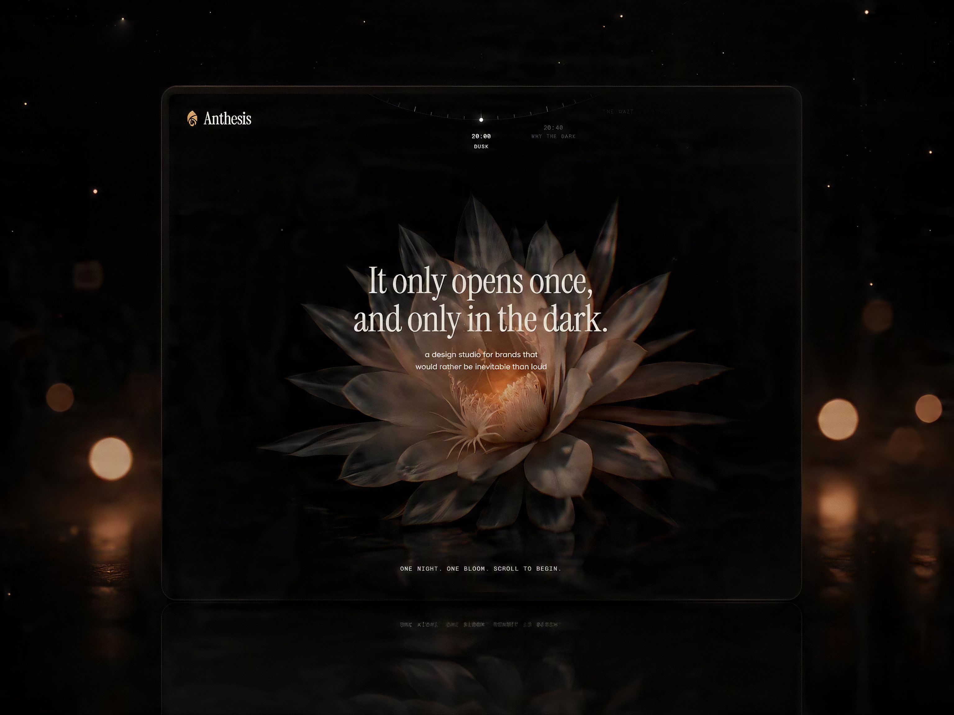 Anthesis - Image 4