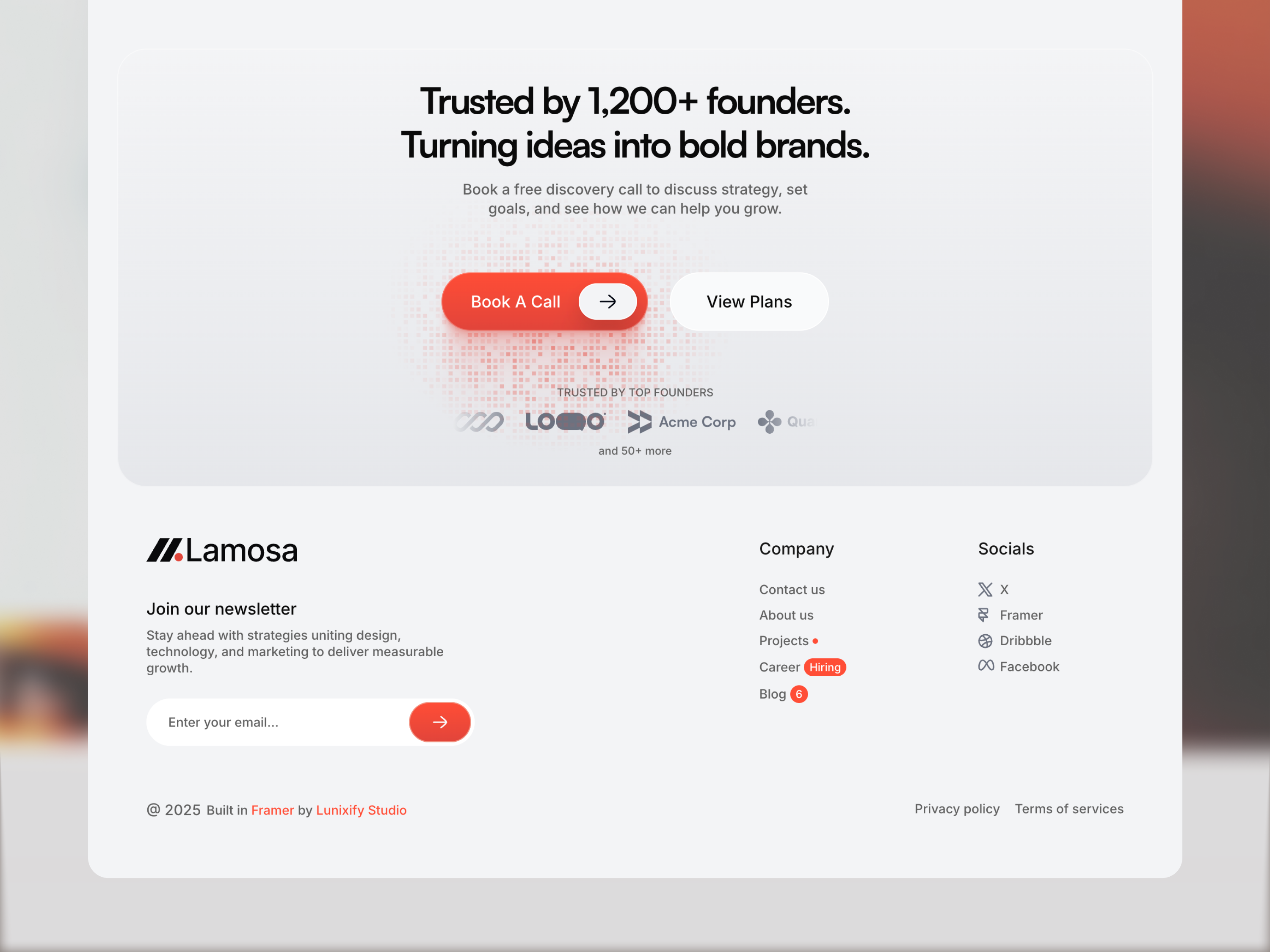 Lamossa Studio - Image 4