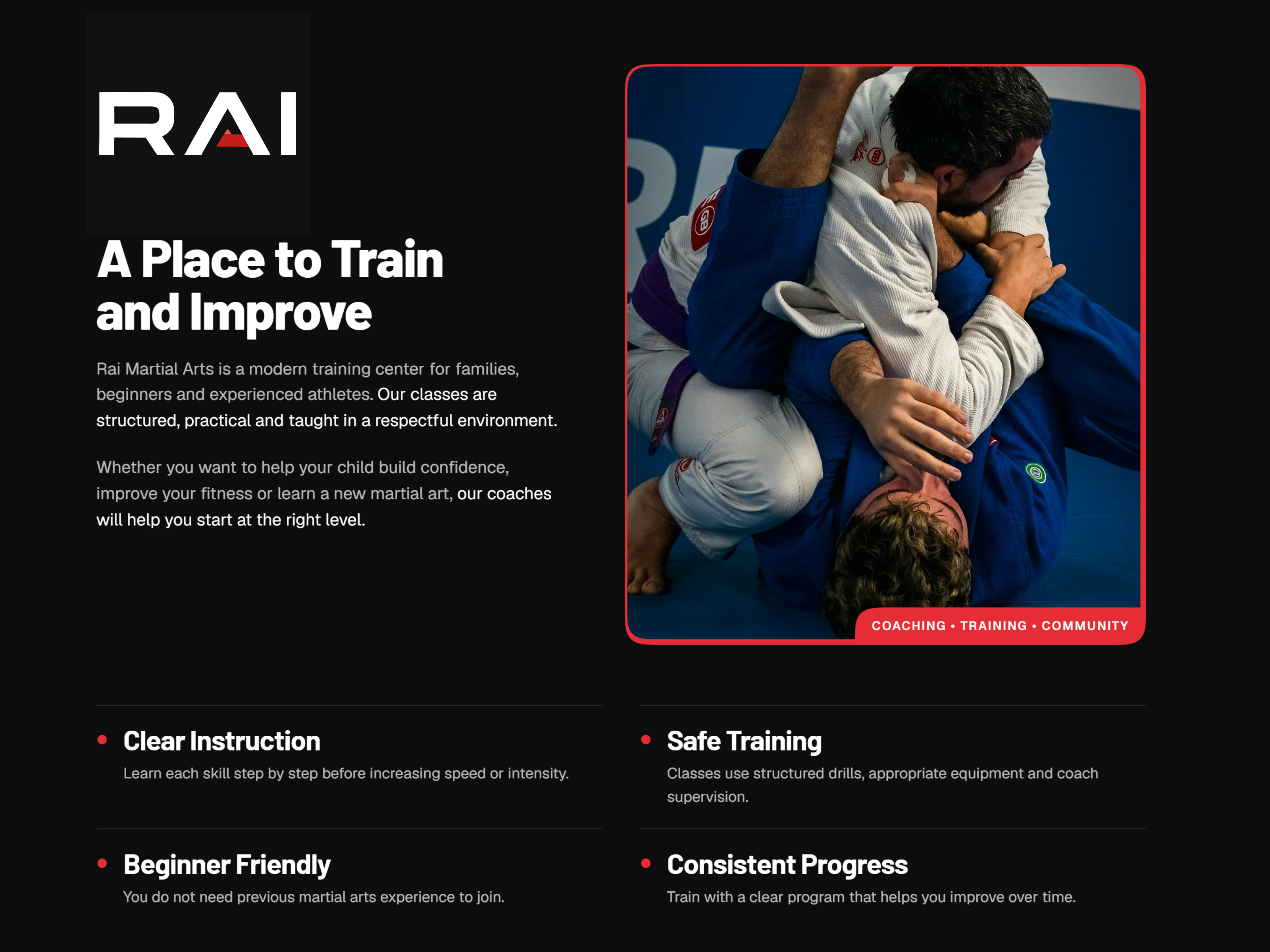 Rai Martial Arts - Image 2