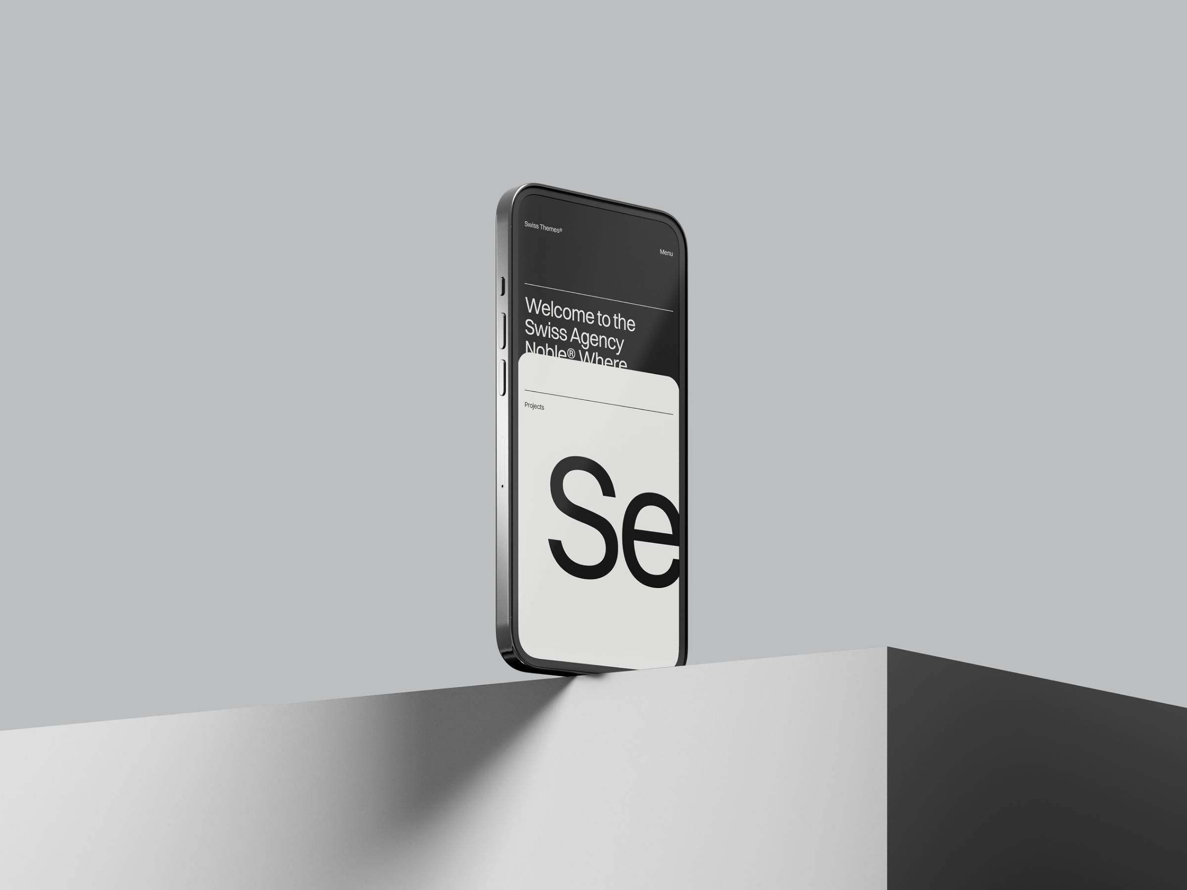 SwissAgency - Image 2