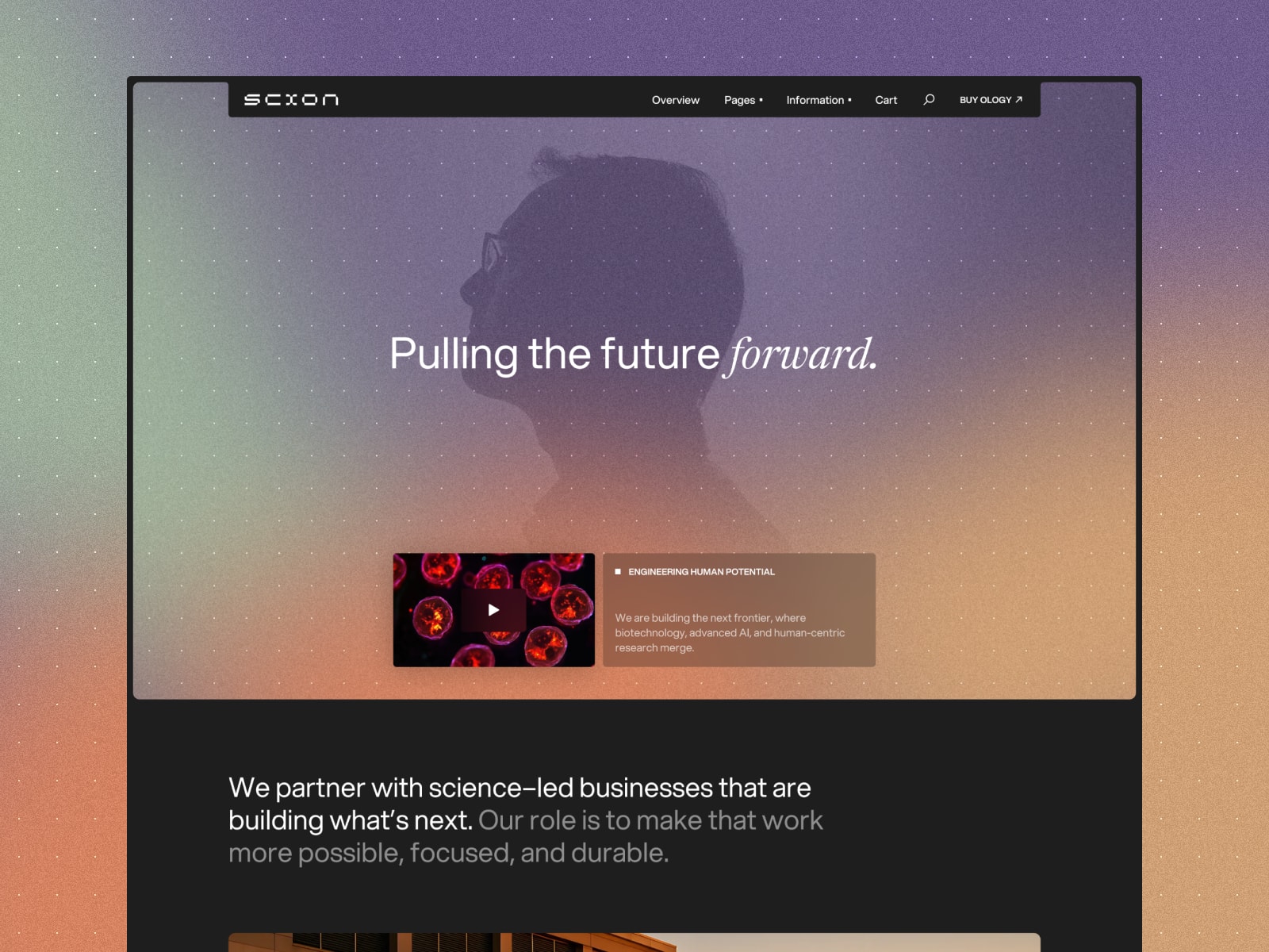 Yonder Tourism · Tourism, Adventure Tours Template - Image 4