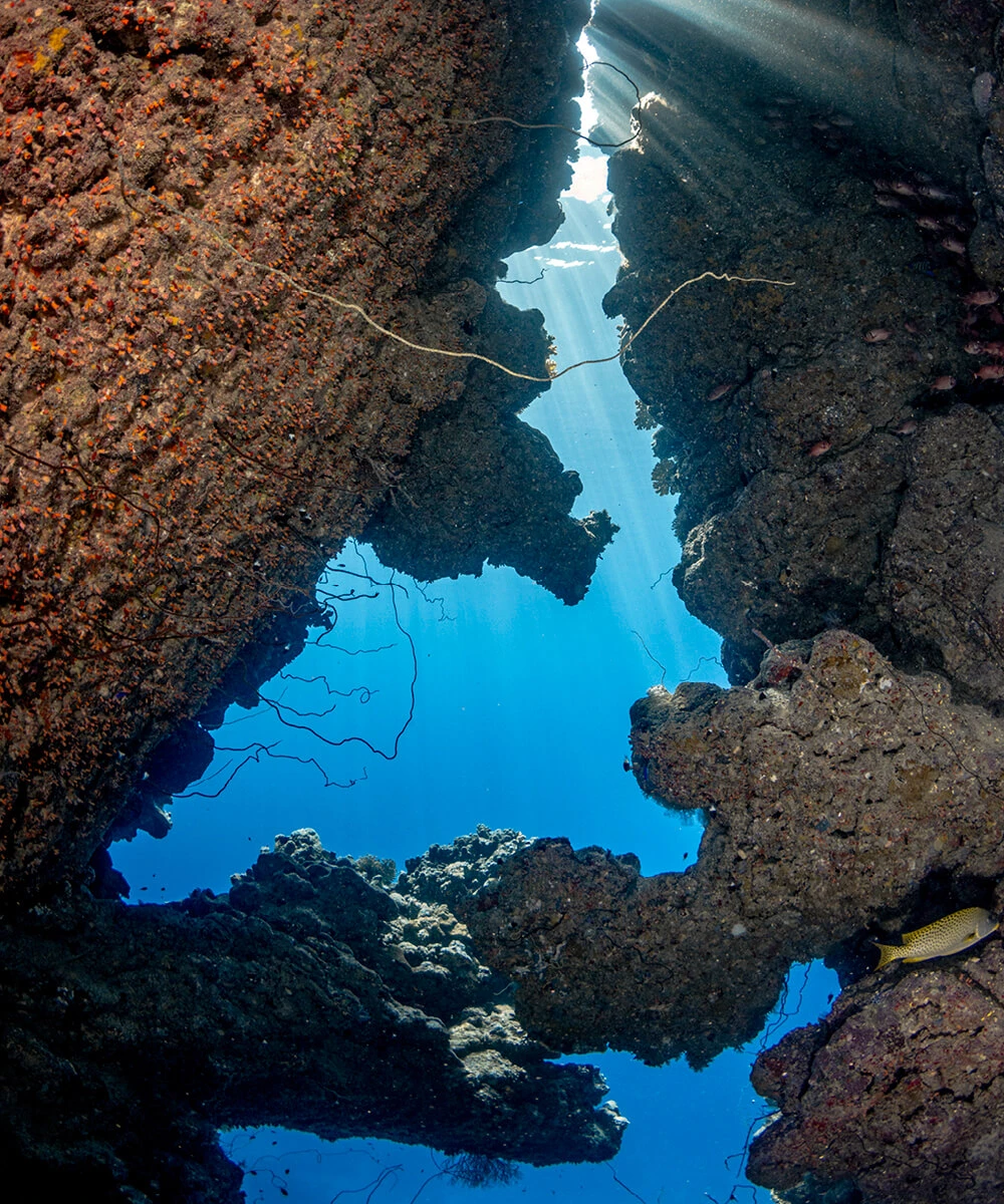 sea-shore