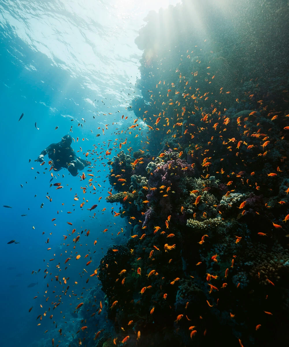 sea-shore