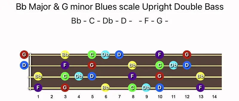 B♭ Major & G minor Blues scale notes on a Upright Double Bass fingerboard