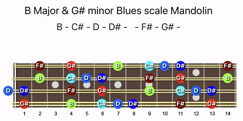 B Major & G♯ minor Blues scale notes on a Mandolin fretboard