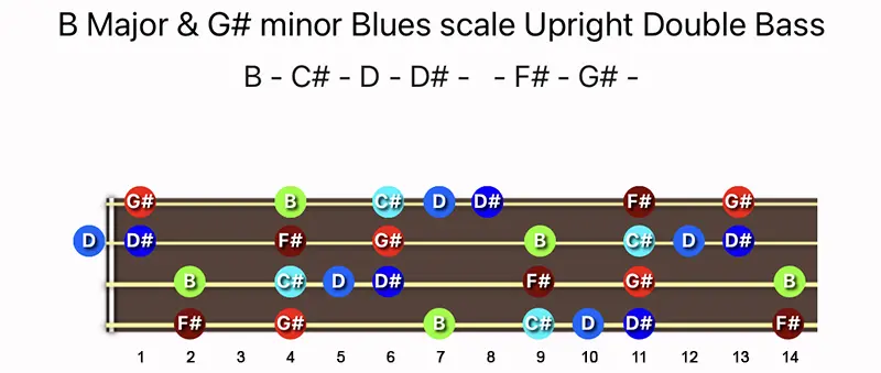 B Major & G♯ minor Blues scale notes on a Upright Double Bass fingerboard