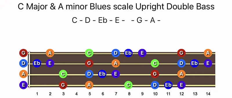 C Major & A minor Blues scale notes on a Upright Double Bass fingerboard