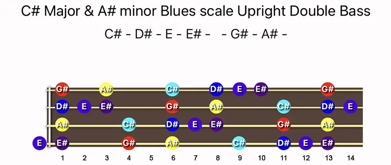 C♯ Major & A♯ minor Blues scale notes on a Upright Double Bass fingerboard