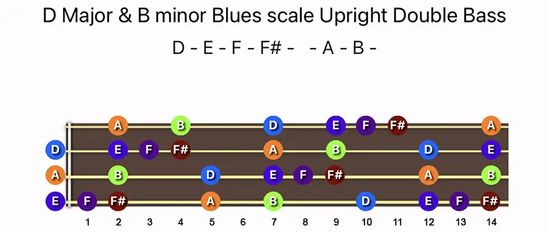 D Major & B minor Blues scale notes on a Upright Double Bass fingerboard