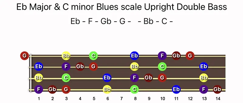 E♭ Major & C minor Blues scale notes on a Upright Double Bass fingerboard