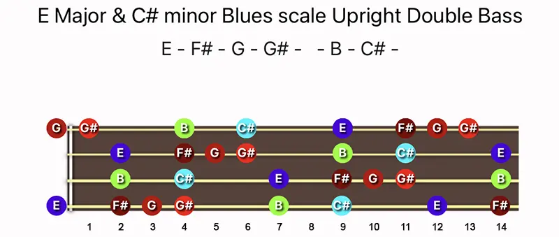 E Major & C♯ minor Blues scale notes on a Upright Double Bass fingerboard