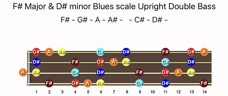 F♯ Major & D♯ minor Blues scale notes on a Upright Double Bass fingerboard