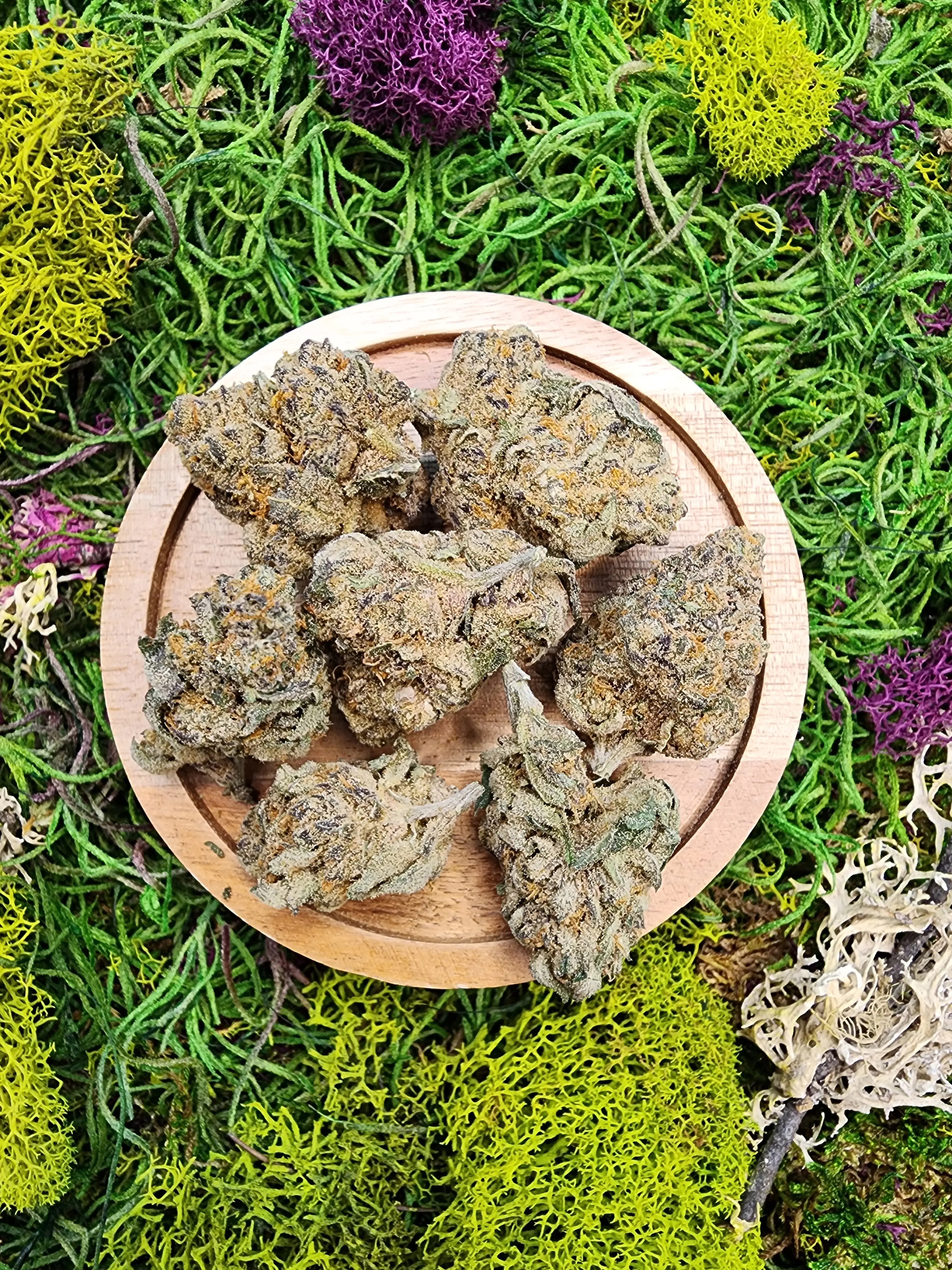 Beach Mafia hybrid cannabis strain buds with frosty trichomes and THC levels over 20 percent