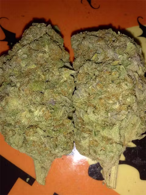 Blueberry Essence cannabis buds with frosty trichomes and deep green and purple hues.