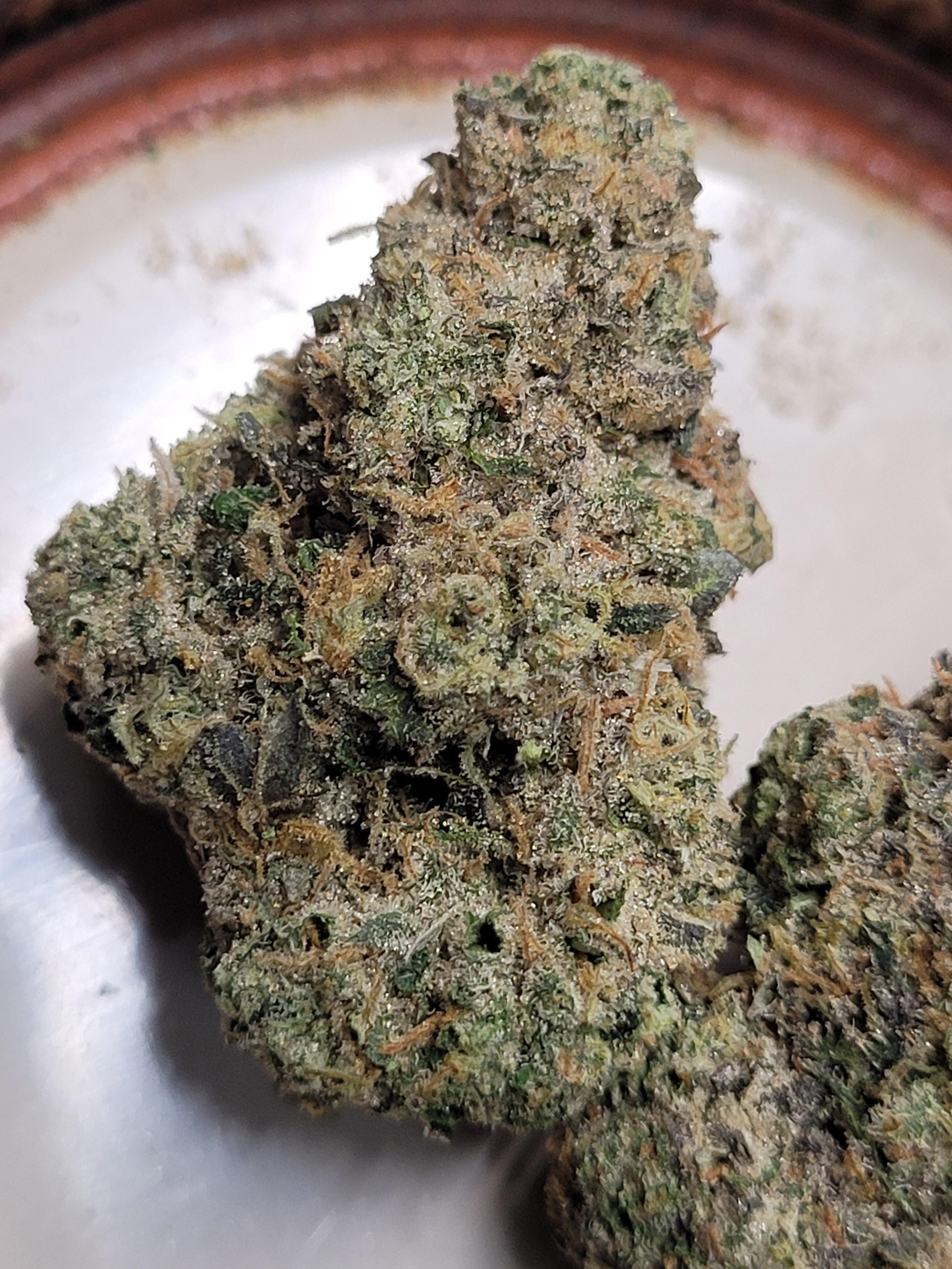 Cookie Banger cannabis strain buds showing dense trichomes with THC levels around 23–25 percent