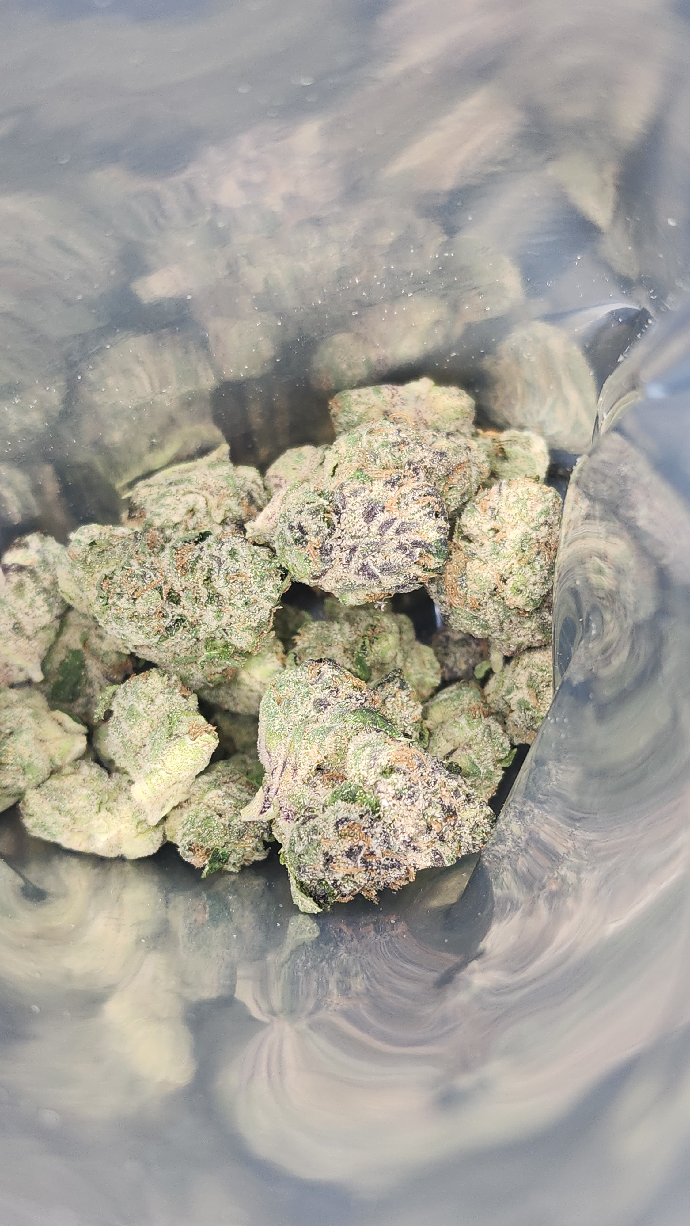 Double Dribble cannabis strain with frosty green buds displaying 32 percent THC and sativa-dominant hybrid type