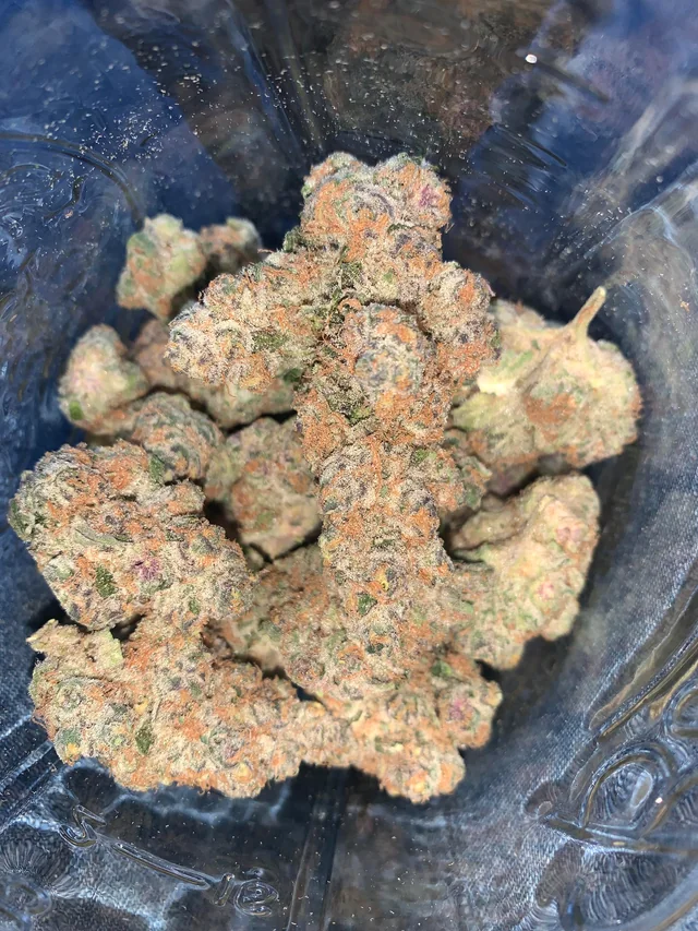 Electric Green Apple sativa-dominant hybrid cannabis strain with lime-green buds and 23 percent THC