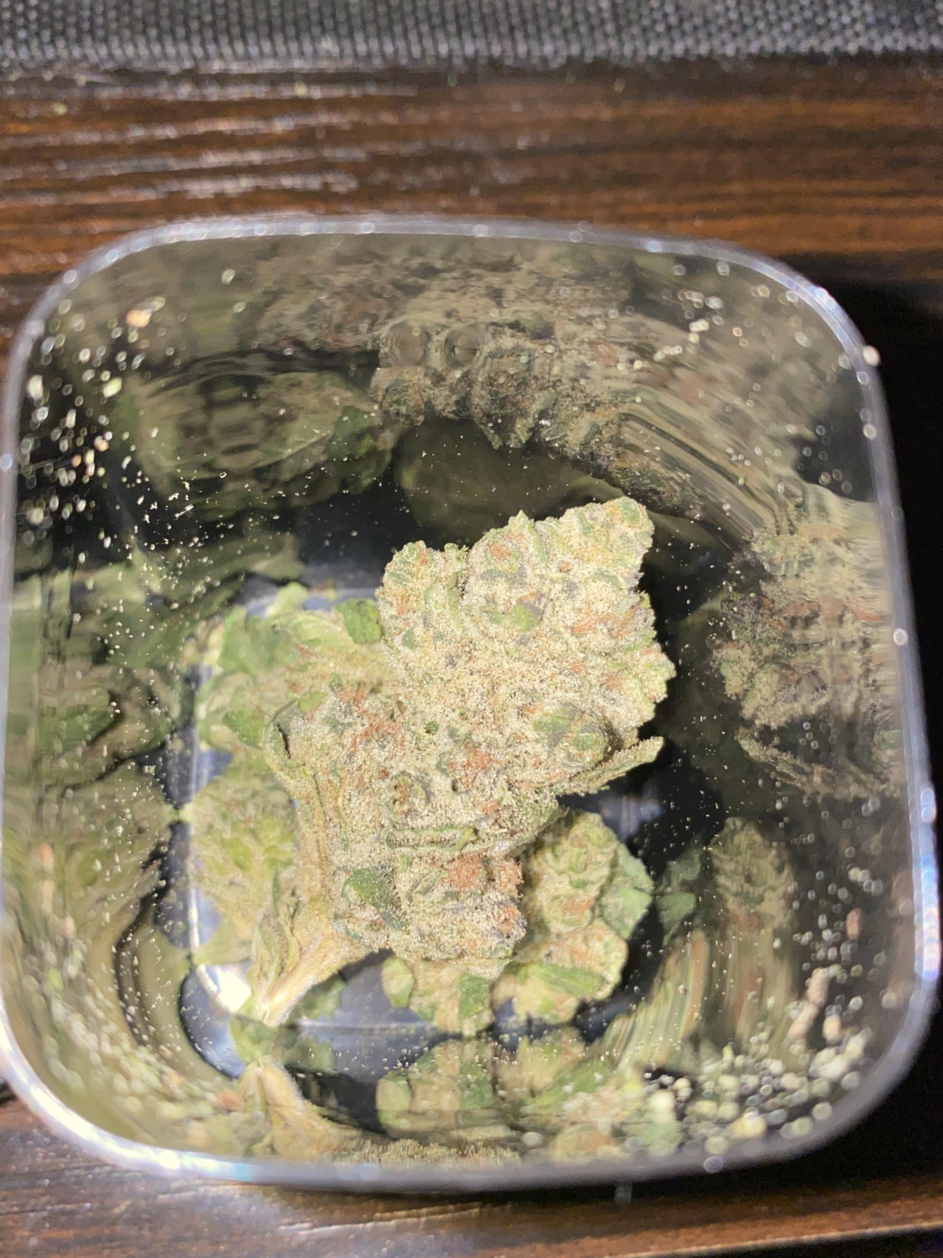 Kool Grapes indica-dominant cannabis strain with dense purple buds and heavy trichome coverage