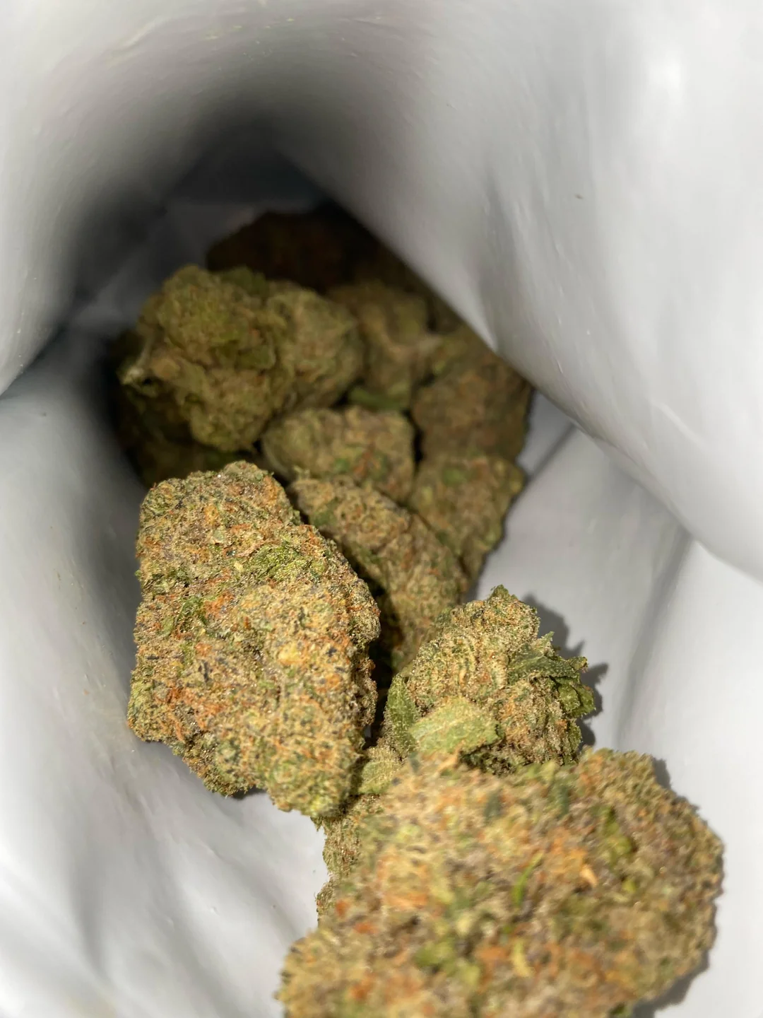 Living Legend sativa-dominant cannabis strain with bright green buds and citrus aroma