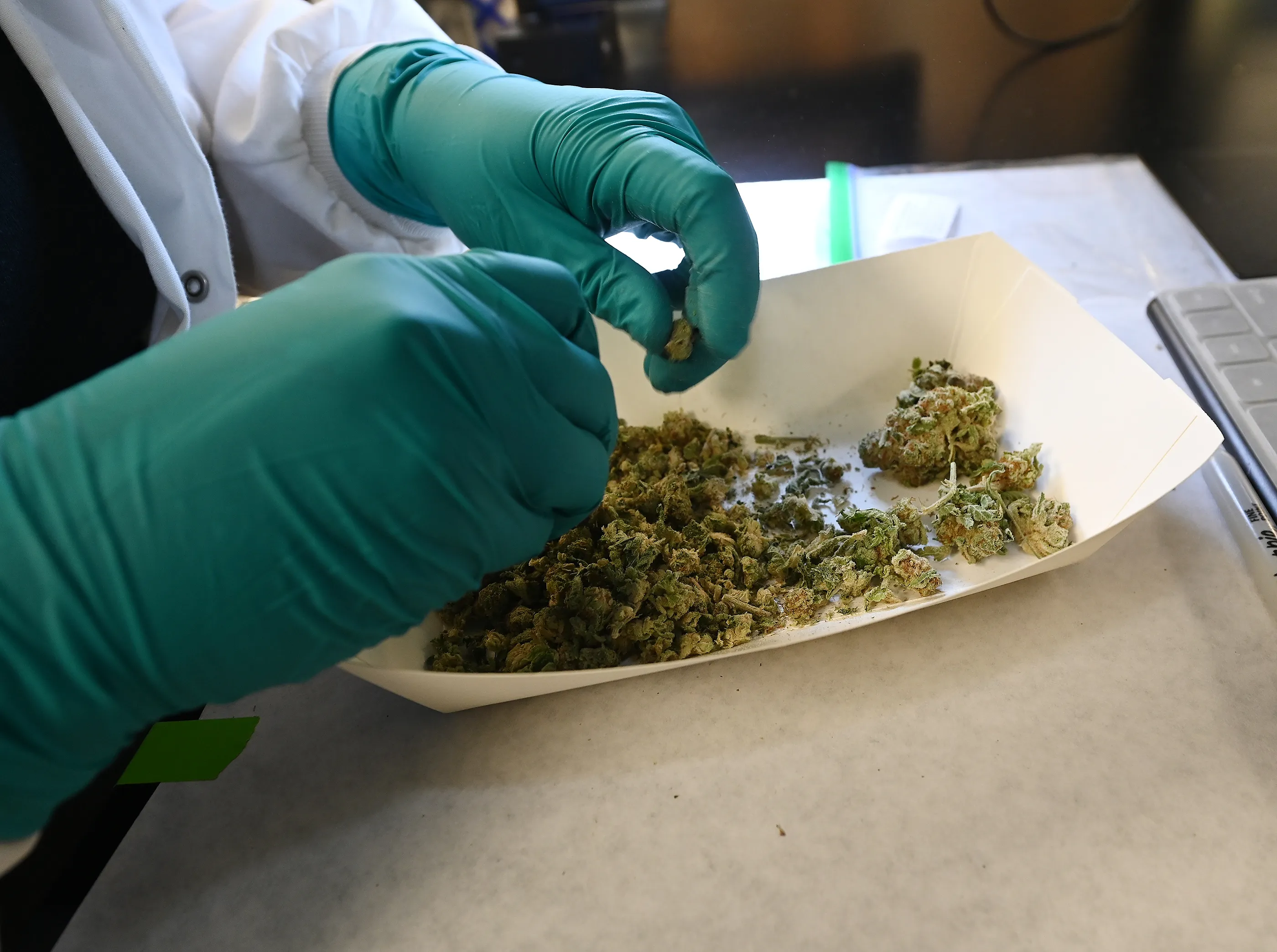 Potency testing equipment