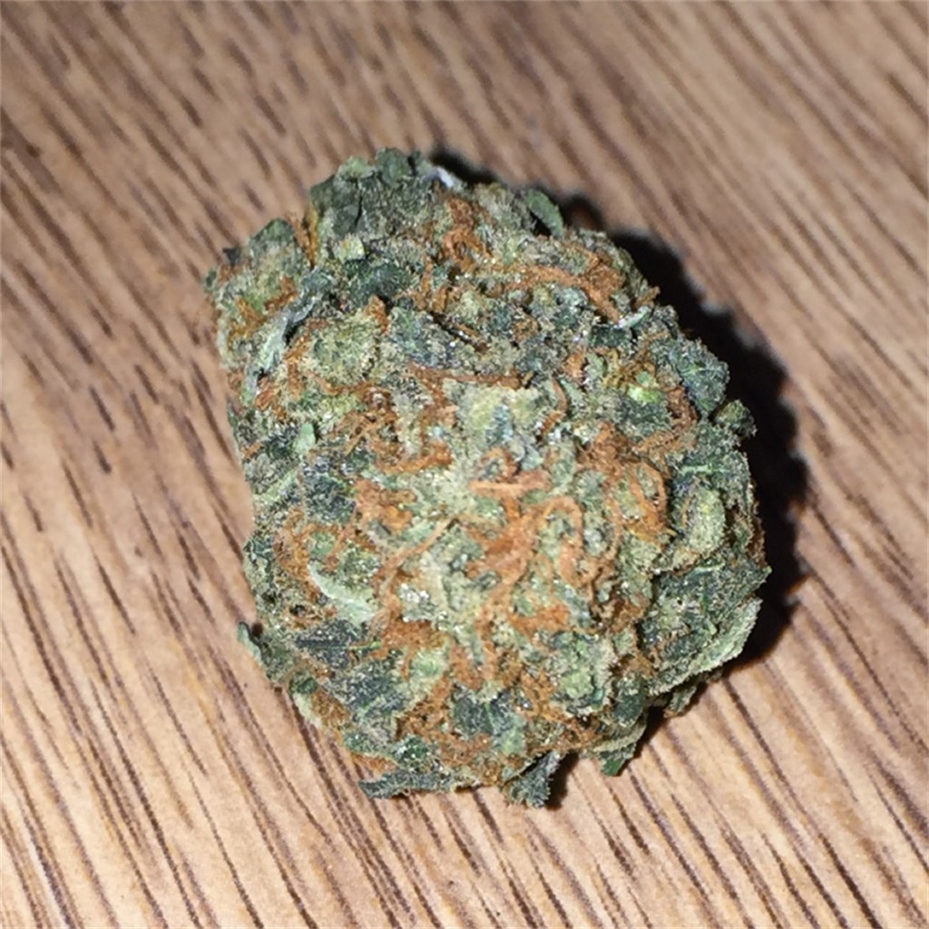 MTF Matanuska Thunderfuck cannabis buds with heavy trichomes and orange hairs, high THC sativa-dominant strain