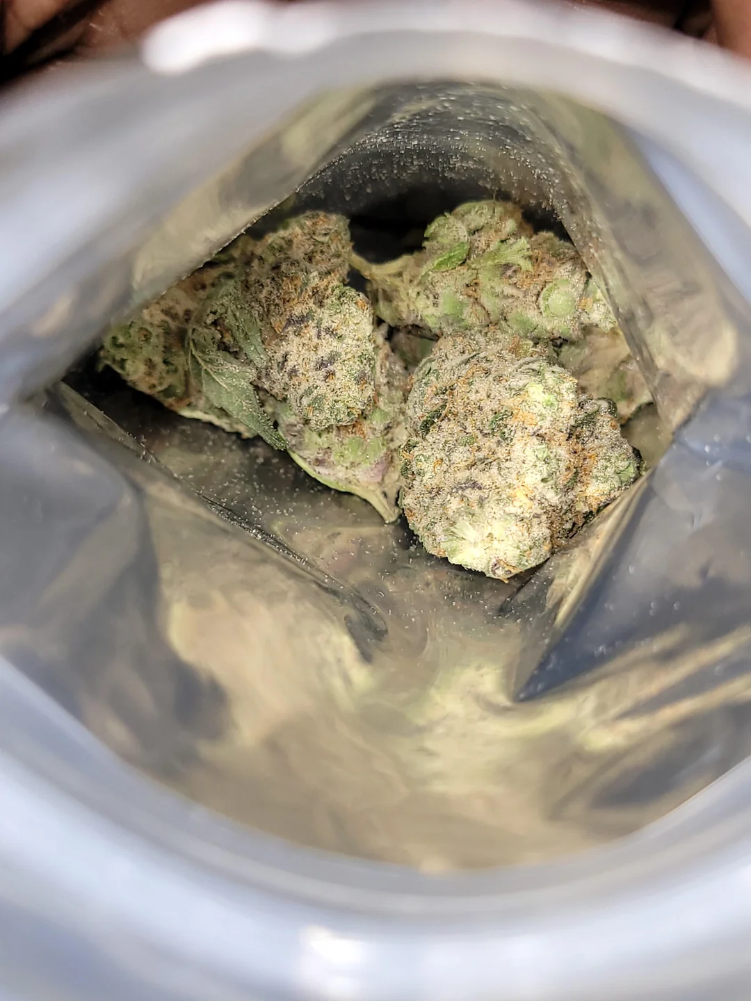 Seattle Sour Kush cannabis strain buds with dense trichomes and approximately 26 percent THC in a modern urban display