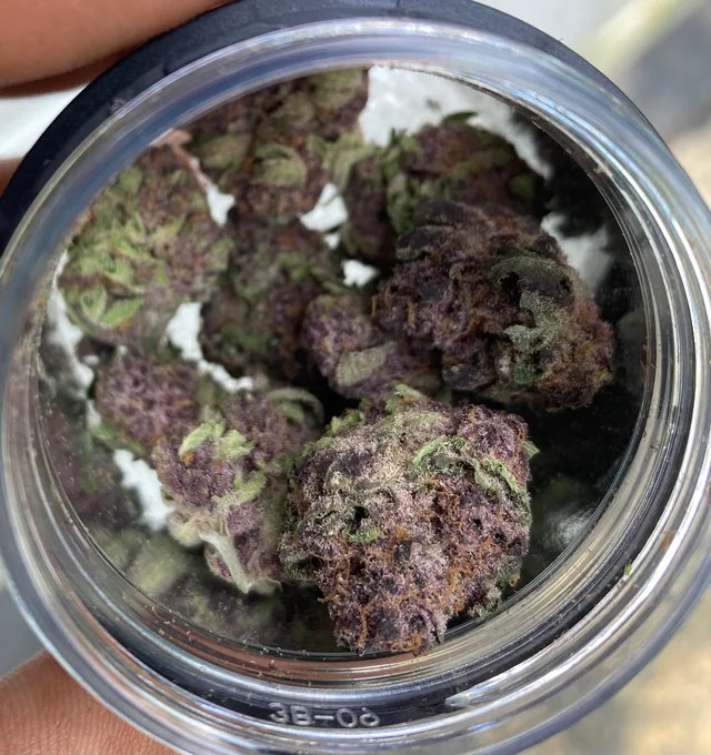 Tropicana Jelly cannabis strain buds with purple undertones and 26 percent THC in a modern urban style