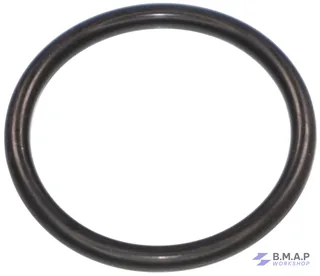 O-RING seal ống nươc thân máy to M274 Mercedes-Benz - Genuine Mercedes-Benz A0249976345