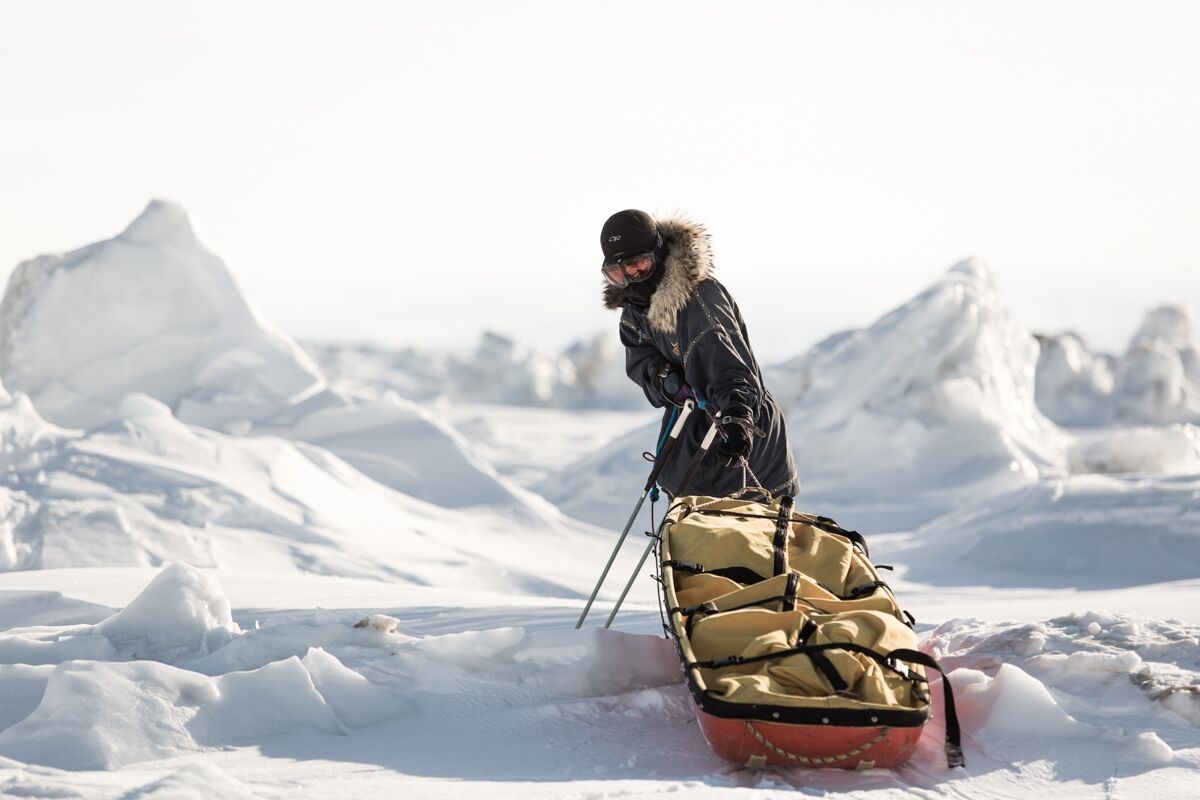 Sled Dogs and Sunsets: a Year in the Life of Sarah McNair-Landry