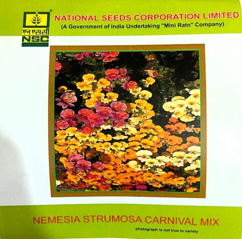 nsc nemesia strumosa carnival mix flower seed