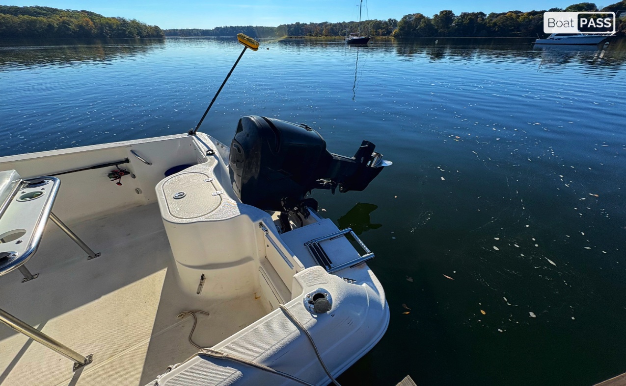 The Struggle is Reel