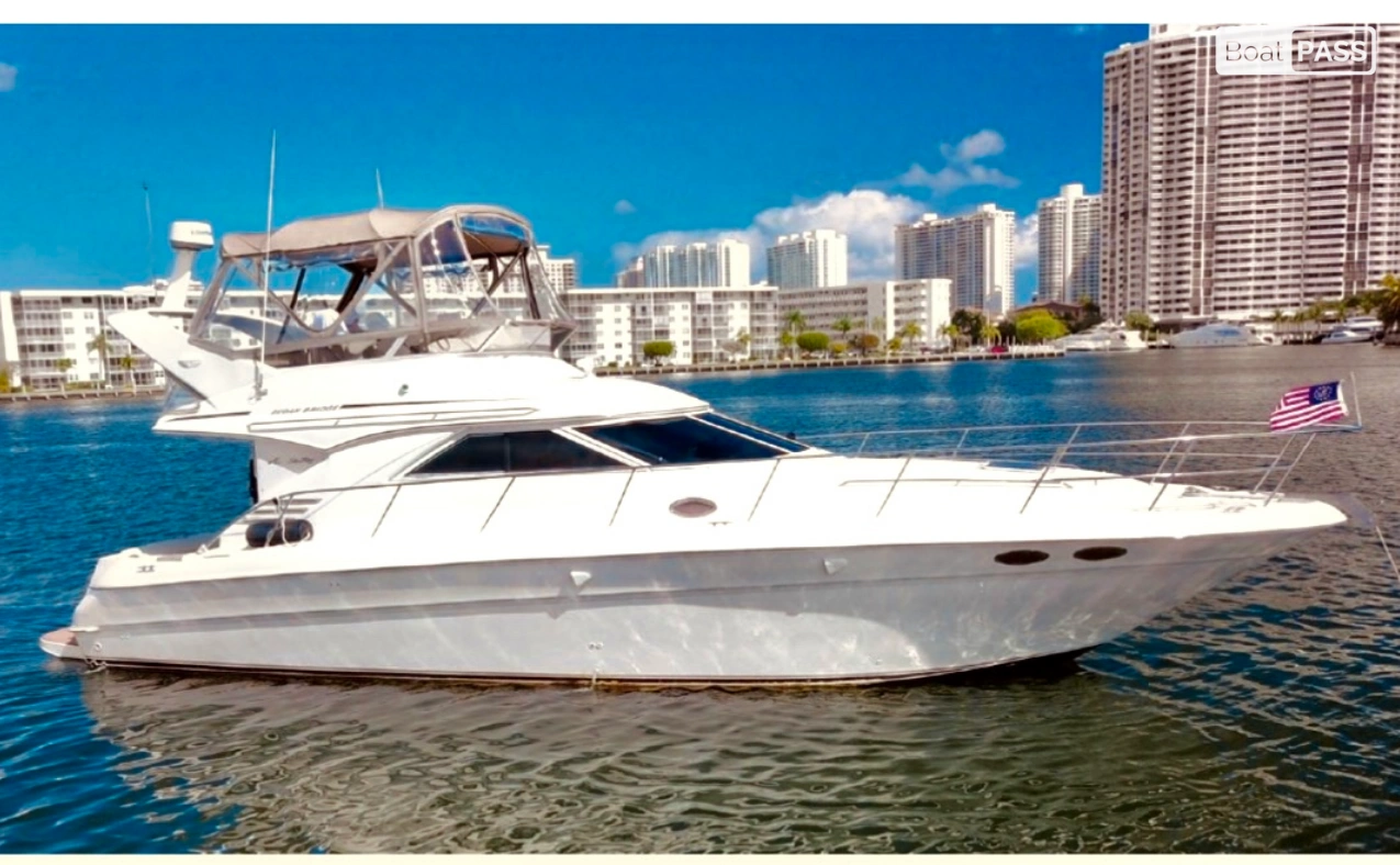 Legasea Searay Sedan Flybridge