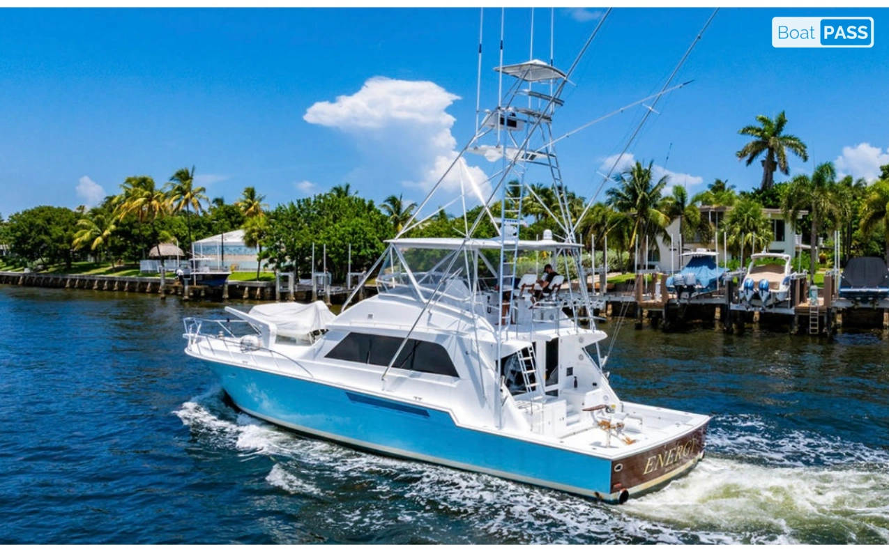 Energy Bertram Convertible