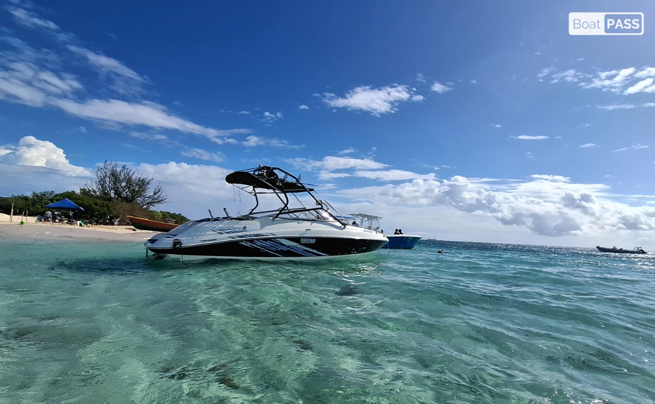 Serendipity Yamaha sx230