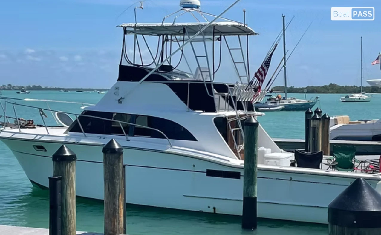 Rumbler Concord sportfish