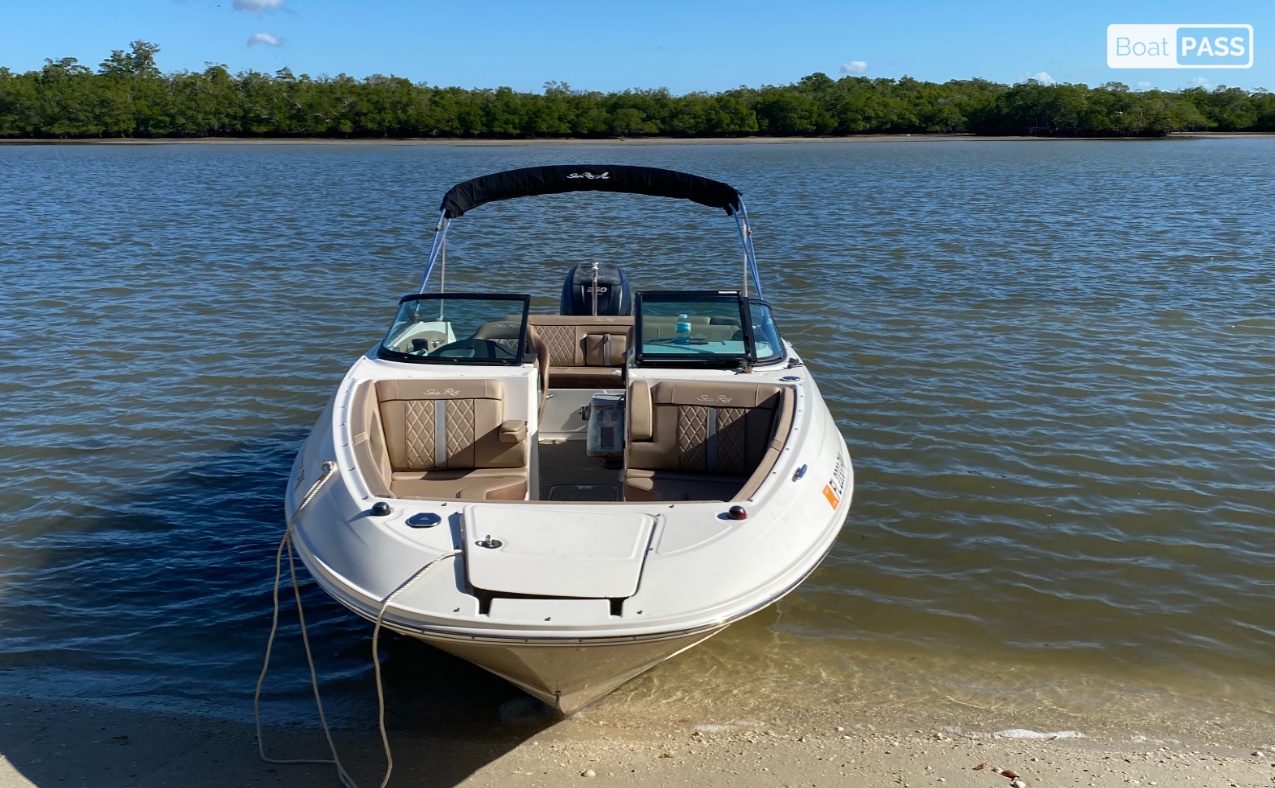 Charters To Wellness Searay sdx