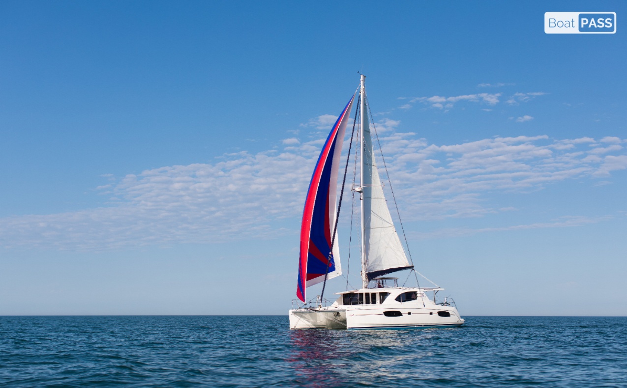 Epiphany Leopard 44
