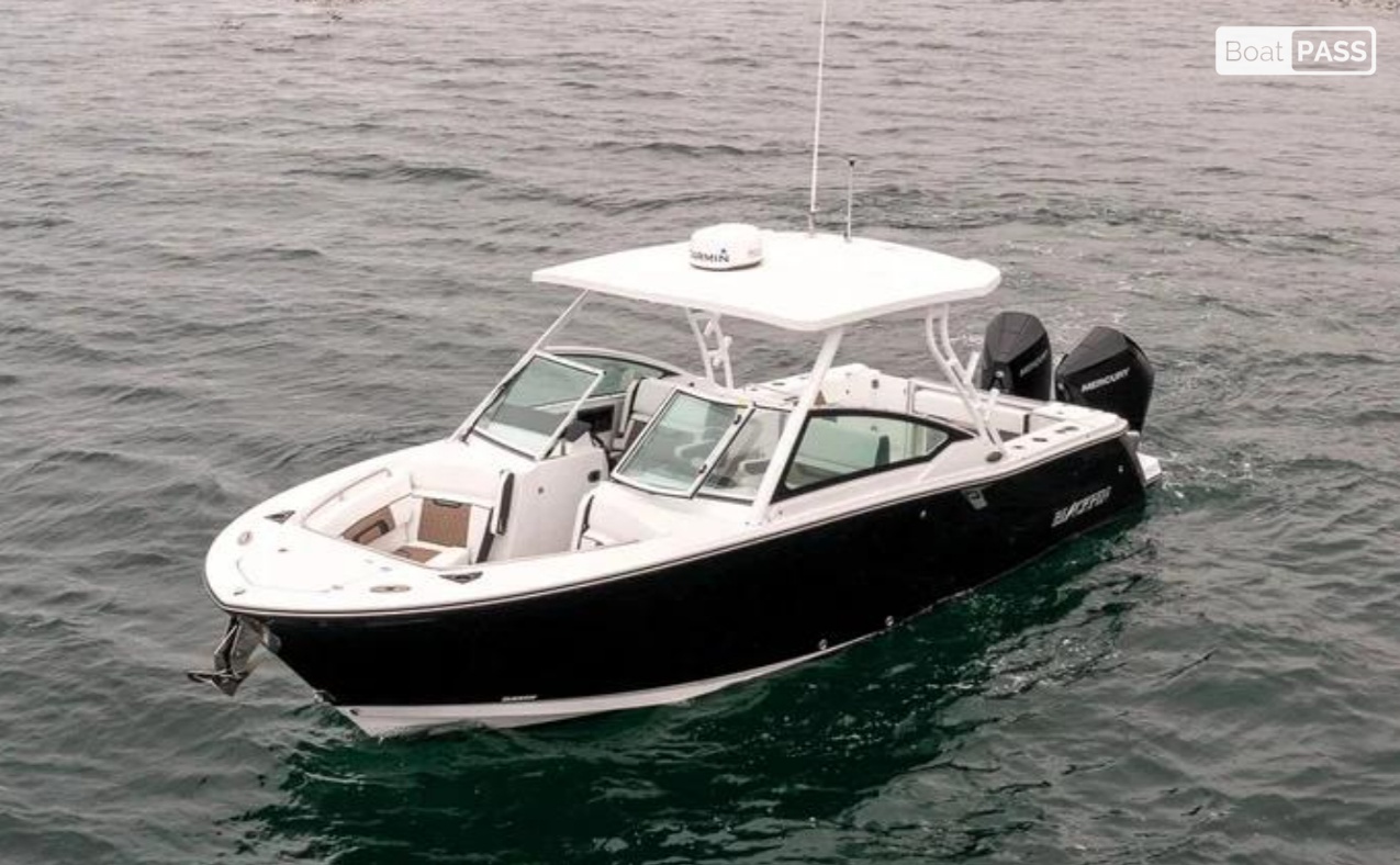 Blackfin Leisure Cruise PBC Blackfin 272 DC