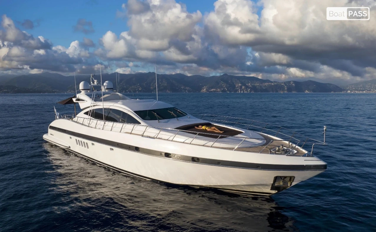 Houdini Mangusta